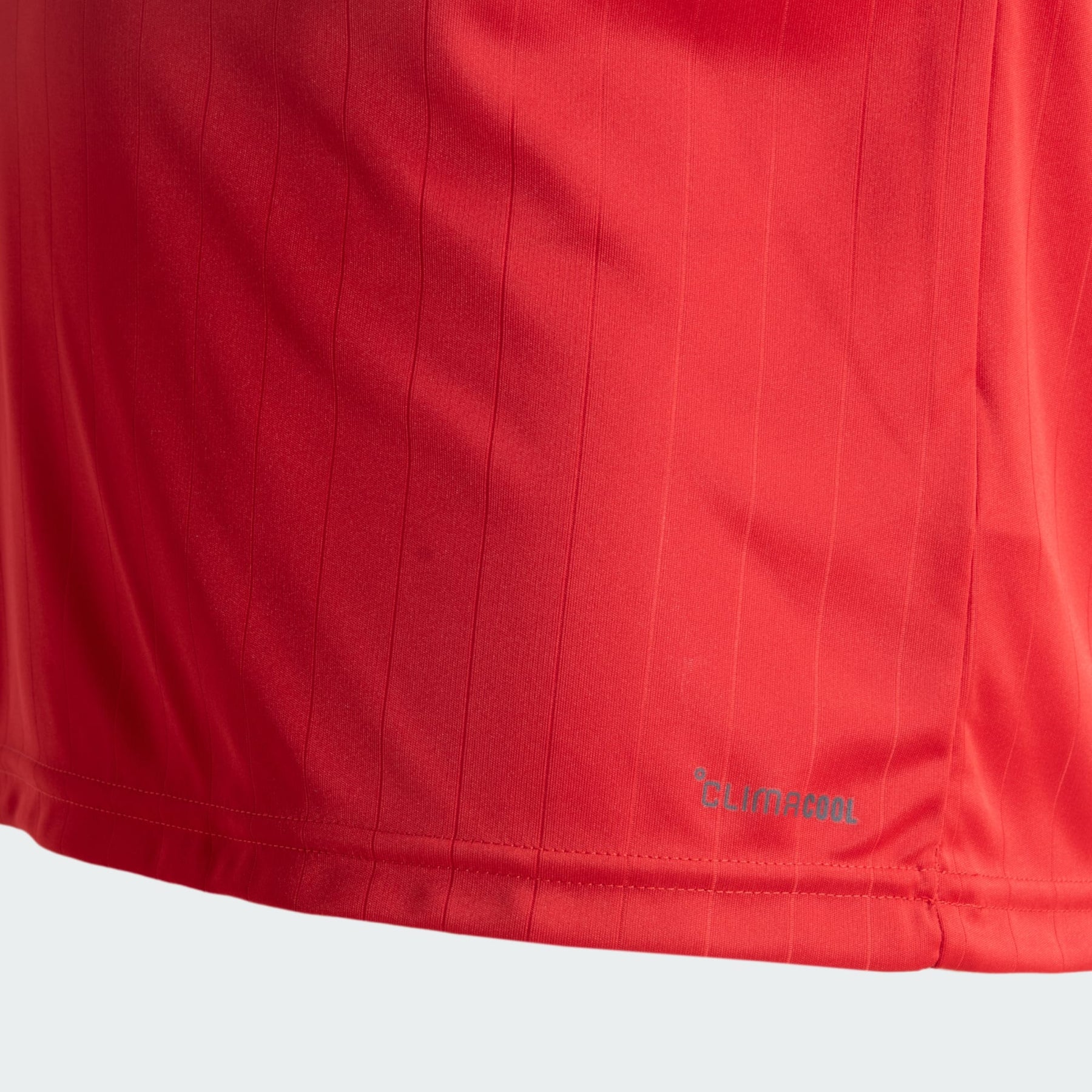 Camisa Internacional I 2026 Torcedor