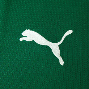 Camisa Palmeiras I 2026 Torcedor