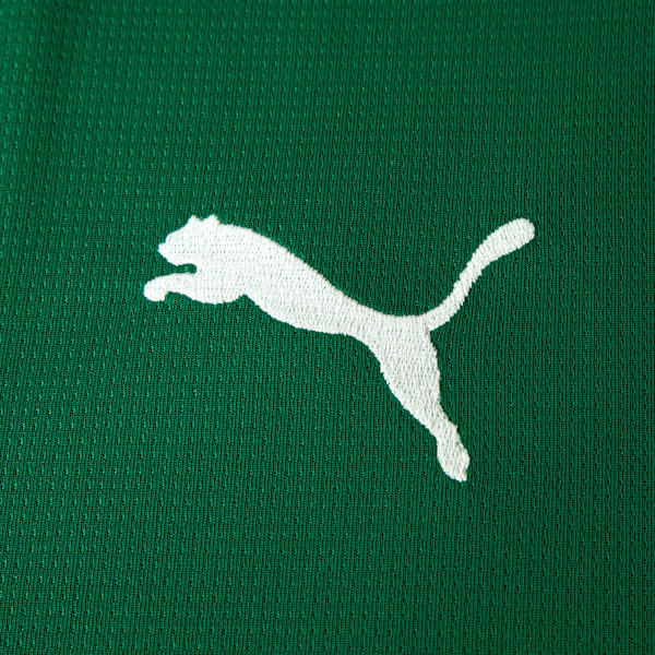 Camisa Palmeiras I 2026 Torcedor