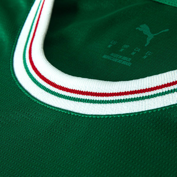 Camisa Palmeiras I 2026 Torcedor